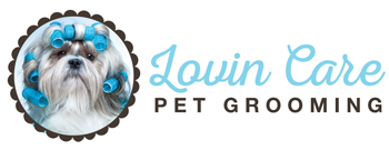 lovin_care_logo