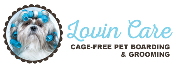 lovin_care_logo-(1)